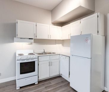 Renovated Suite - 1 Bedroom - Photo 6