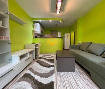 2 camere open-space, Manastur, Mc Donalds, Primăverii, Calvaria, Flora - Fotografie 4