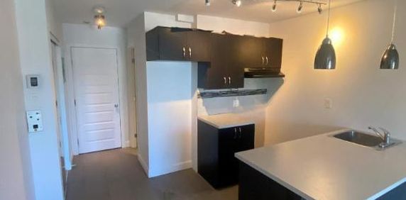 1 CH - 1 SDB - Montréal - $1,295 /mo - Photo 2