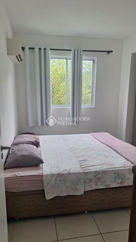 Apartamento com 2 quartos e 52m² para alugar em Canasvieiras, Florianópolis. - Photo 3