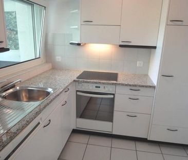 Leben neben der Schüssinsel - Vivre près de l'île de la Suze - Foto 3