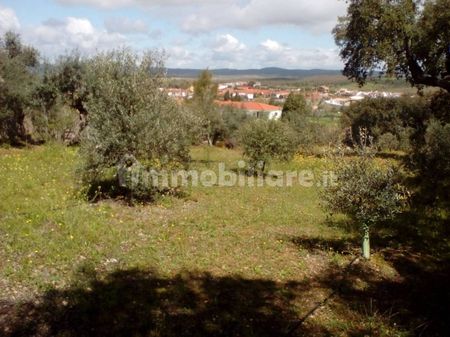 Chalet via Roma 112, Centro, Villa Latina - Photo 4