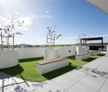 Three Bedroom Apartment in Molonglo Valley - Photo 1