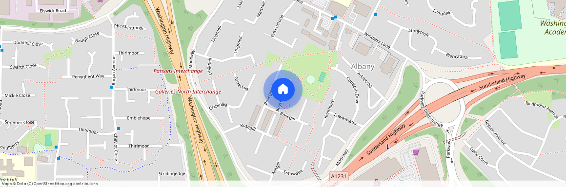 Boystones Court, Washington, NE37