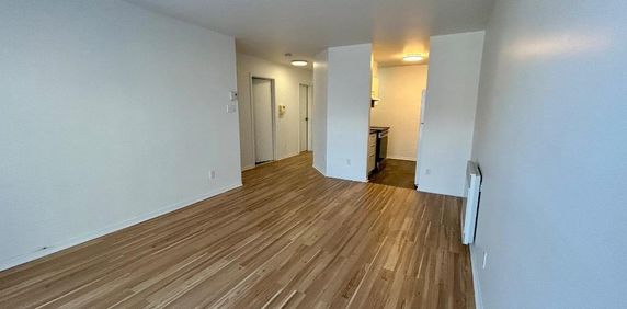 3 1/2, Style Condo, Clé-en-main, 5 électros, Stationnement inclus - Photo 2