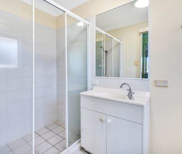 Spacious Dual-Level Home with Outdoor Entertaining! - Photo 3