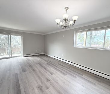 For Lease - 286 VINE Street Unit# 4, St. Catharines, Ontario - Photo 4
