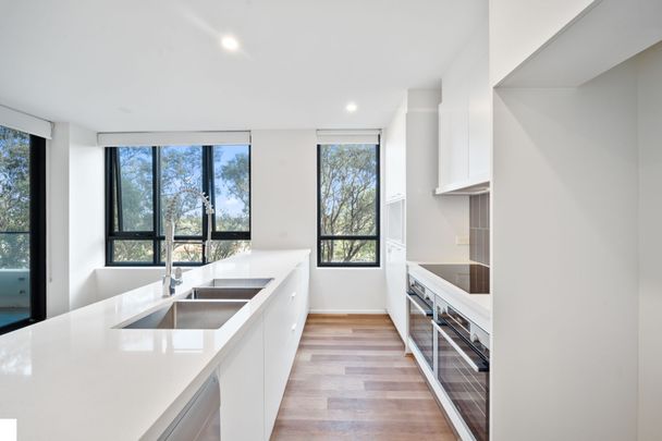 202/2 Gribble Street, Gungahlin - Photo 1