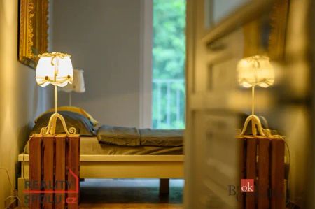 Pronájem bytu 1+kk 54 m - Fotografie 4