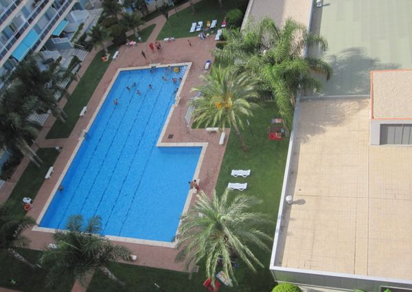 Flat - Gandia (Playa de Gandia)