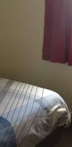 Easy Living In Town - Photo 1