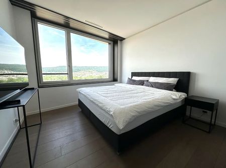 Helle 2.5-Zimmer-Wohnung mit Balkon und Stadtblick in Dietikon - Foto 3