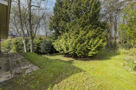 Eikendael 11, Oud-Clingendaal, 2245BK, Wassenaar - Photo 3