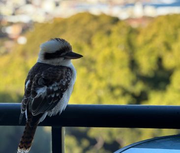 Bondi - Photo 1