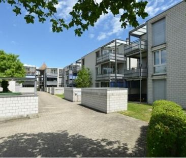 Dream house on the top floor Rent without deposit - Photo 4