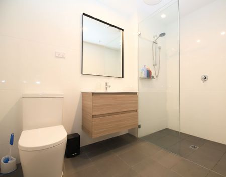 Near New One Bedroom Apartment - Photo 5