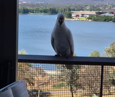 Canberra CBD - Photo 4