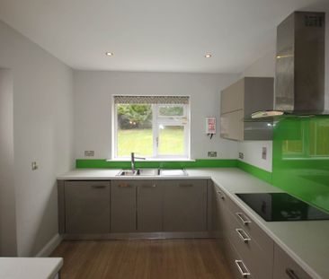 Matthew Hill, Lehenagh More - Photo 3