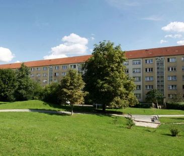 1-Raum-Wohnung in Citynähe - Photo 5