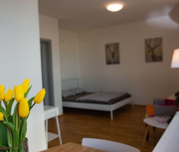 Pronájem bytu • 39 m² bez realitkyPod Stolovou Horou, Praha - Jinonice - Photo 3