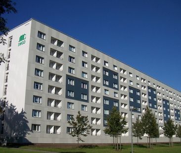 1 Raumwohnung mit Dusche in der Altstadt - Photo 3