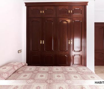 Calle Hernán Ruiz, Sevilla, Andalusia 41006 - Photo 2