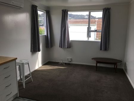 Chic 1BR Kilbirnie Flat w/ AC & Parking - Photo 2