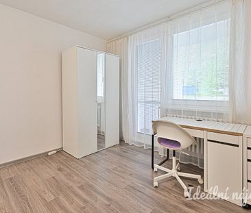 Pronájem bytu 1+1 41 m² - Photo 1