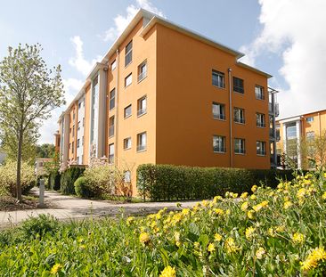 "Sonnige Aussichten für Sie!" - Foto 4