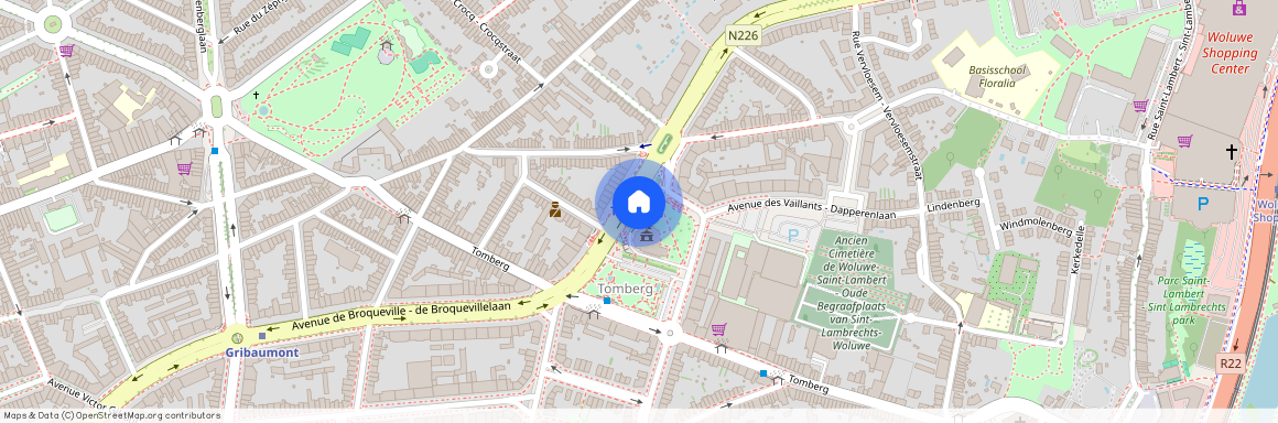 Avenue Paul Hymans 41 Boîte 4 - 1200 Woluwe-Saint-Lambert