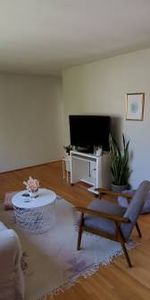 VIDEO TOUR! Pet Friendly Spacious Bright 1 bedroom available NOW! - Photo 3