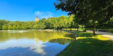 Appartement te huur in Stene voor € 700 met 1 slaapkamer - Photo 3