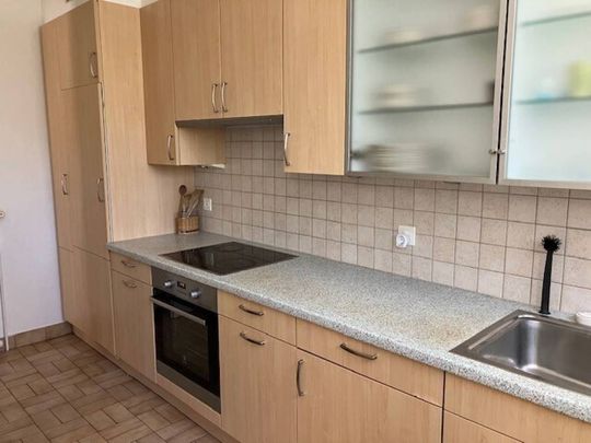 Villa de 6 pièces à louer au Grand-Saconnex - Foto 1