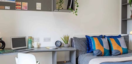 Standard Studio - Photo 4