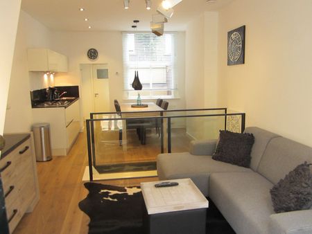 Appartement te huur: Nieuwe Looiersstraat 14-H 1017 VC Amsterdam - Photo 4