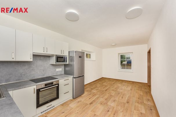 Pronájem domu 130 m², Zruč-Senec - Photo 1