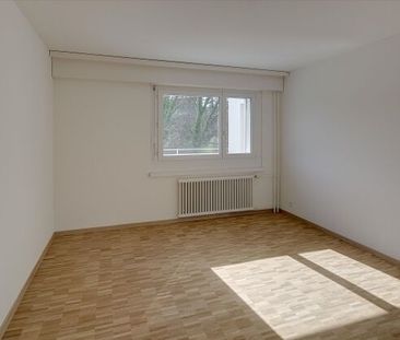 Family nest - Photo 1