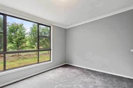 599 Pacific Highway, Korora NSW 2450 - House For Rent | Domain - Photo 2