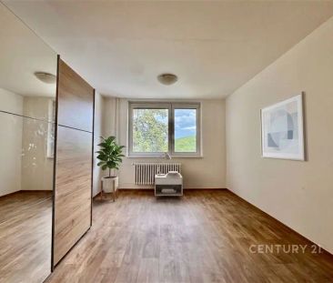 Byt po kompletní rekonstrukci 2+1 s balkónem, 64 m - Photo 1