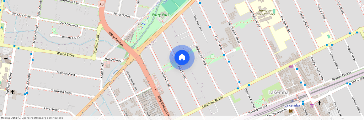 37 McCourt St, NSW 2195, Wiley Park