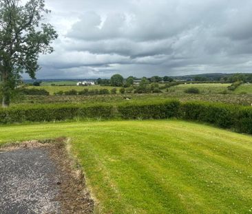 29 Ardtanagh Road, Dromara, BT25 2BX - Photo 5