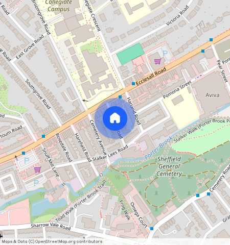 Ecclesall, S11 8NE, Sheffield