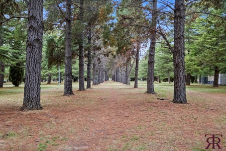 40/19-25 Fawkner Street, Braddon ACT 2612 - Apartment For Rent | Domain - Photo 4