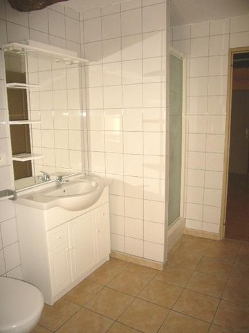 A Louer - Appartement mezzanine LA PALME - Photo 5