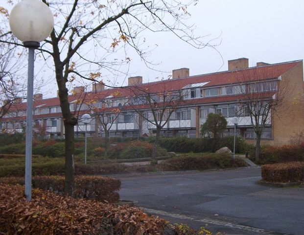 Beringsvænget - Photo 1