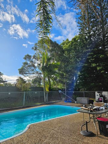 Daisy Hill - Photo 4