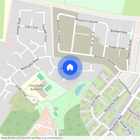 Aintree Drive, Doncaster, Woodfield Plantation