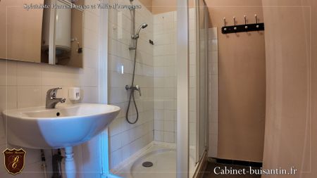 Location Appartement 3 pièces 66m² CHESSY 69380 - Photo 2