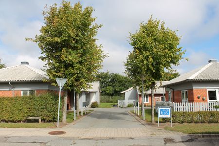 Gyvelvej 21-38 - Brovst - Photo 5