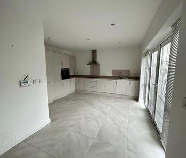 35 Cherrywood, Lurgan, Craigavon, BT67 9GJ - Photo 1